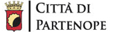 ALT NAME